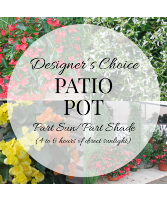 Plant - Patio Pot Part Sun/Part Shade Plant