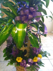 Plant Plant/Fresh/Keepsake