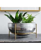 Plant Pot With Gold Stand 