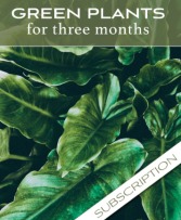 Plant Subscription 3 Months