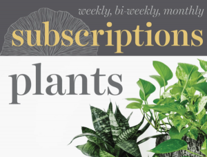 Plant Subscriptions Subscription ONLY