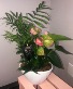 Planter 5 