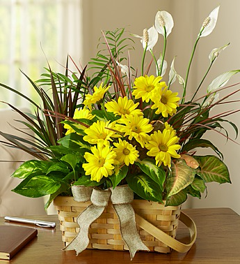 Planter