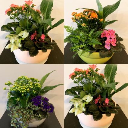 Planter