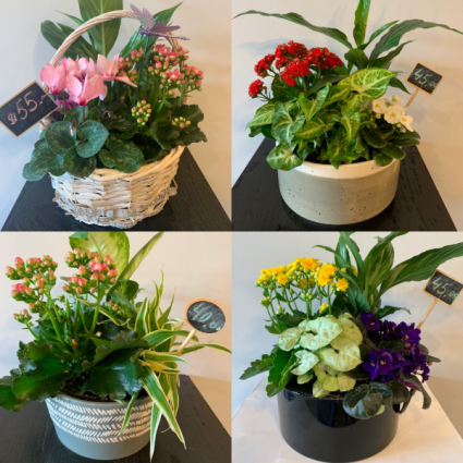 Planter