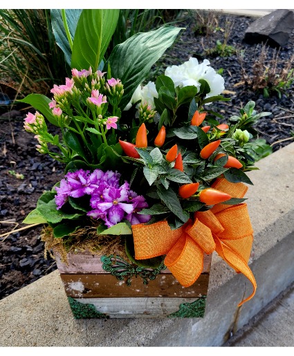 planter