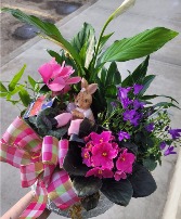 planter 