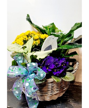 planter 