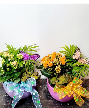 Planter 