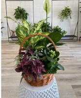 Planter Basket 