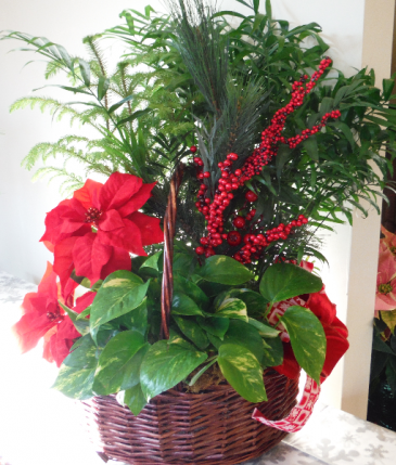 Planter basket Indoor plants