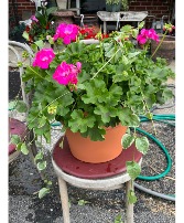 Pretty In Pink Planter Pot