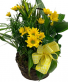 Planter With Fresh Plants