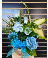 Planter with Teal  in Frankfort, Kentucky | Ruby's Flowers & Gifts