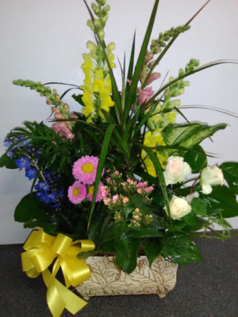 PLANTERS FOR SAME DAY DELIVERY  GREEN AND BLOOMING PLANTS in Norwalk, CA | NORWALK FLORIST