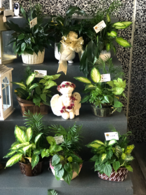 Planters Funeral planters