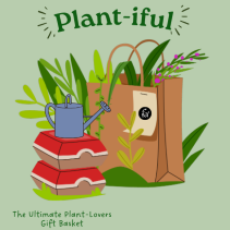 Plantiful  Gift Basket