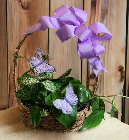 Plants and Butterflies Basket