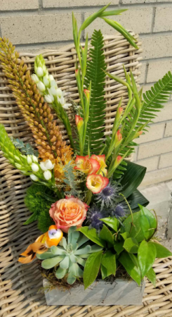 plants and flowers gift 