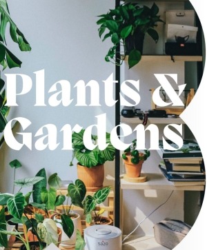 Plants & Garden Varieties Green & Blooming Plants