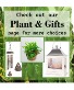 Plants & Gift Page Dish Garden