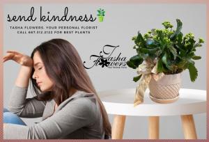 Send Kindness Houseplants