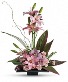 Plate lilies 