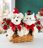 Playful Paws™ for Holiday