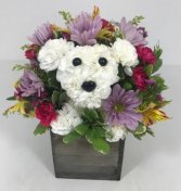 Playful Pup for Fall Arrangement