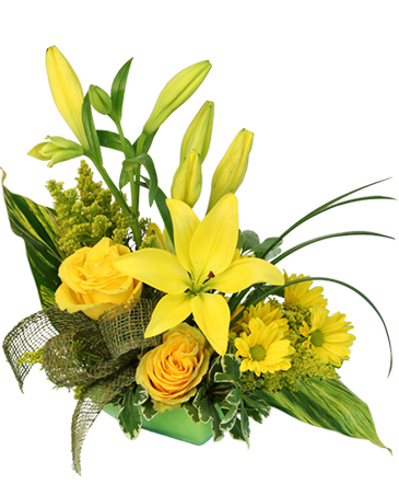 Playful Yellow Flower Arrangement in Springfield, VT | WOODBURY FLORIST