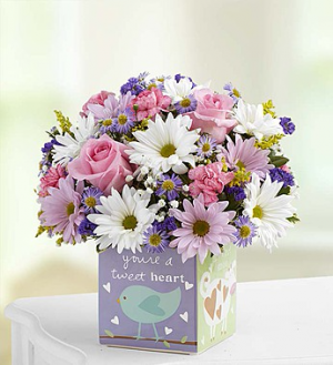 Playtime for Baby Girl Bouquet™ in Valley City, OH | HILL HAVEN FLORIST & GREENHOUSE Playtime for Baby Girl Bouquet™ in Valley City, OH | HILL HAVEN FLORIST & GREENHOUSE