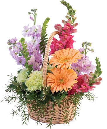 Pleasant Pastels Basket Arrangement in Greenville, NC | The Flower Basket