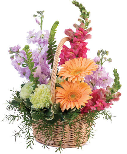 Pleasant Pastels Basket Arrangement in Haddon Heights, NJ - Freshest Flowers