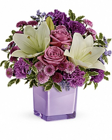 Pleasing Purple TEV45-1