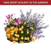 Plentiful Perennials 