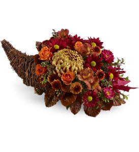 Plentiful PetalsTFWEB450 Fall Flowers