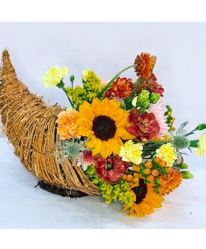 Plentiful Prettiness  