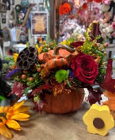 Plentiful Pumpkin 