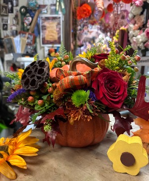 Plentiful Pumpkin 