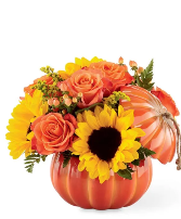 Plentiful Pumpkin Arrangement 
