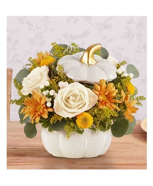 Plentiful Pumpkin White Ceramic w Lid