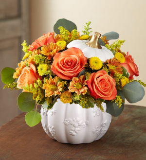 PLENTIFUL WHITE PUMPKIN FALL SEASON ALL OCCASION