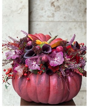 Plum Pumpkin  Next Day Delivery 