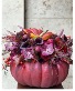 Plum Pumpkin  Next Day Delivery 