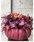Plum Pumpkin  Next Day Delivery 
