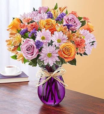 Plum Crazy™ for Fall From Roma Florist & Grinhouse