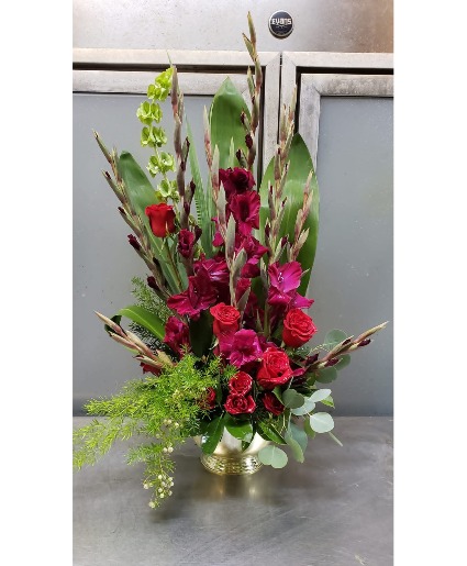 Plum Delight 195.95 225.95