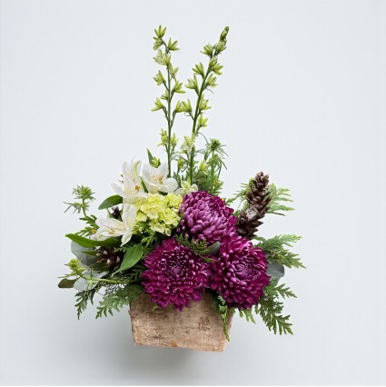 Plum & Pinecones SCF Original - Designed By Kelly