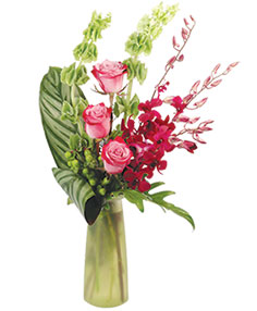 Category Image