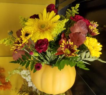 Plump as a Pumpkin Thanksgiving Centerpiece